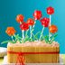 Sunshine Cake