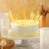 Winter Solstice Cake