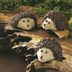 Chocolate-Pecan Hedgehog Cookies