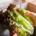 How to Keep Lettuce Fresh