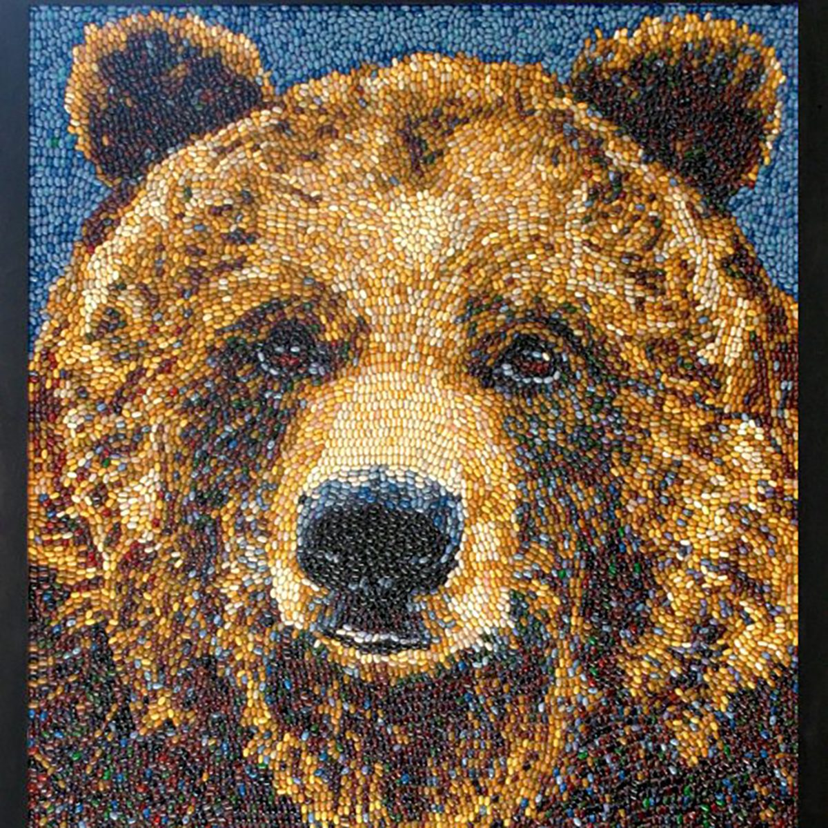 jelly belly art
