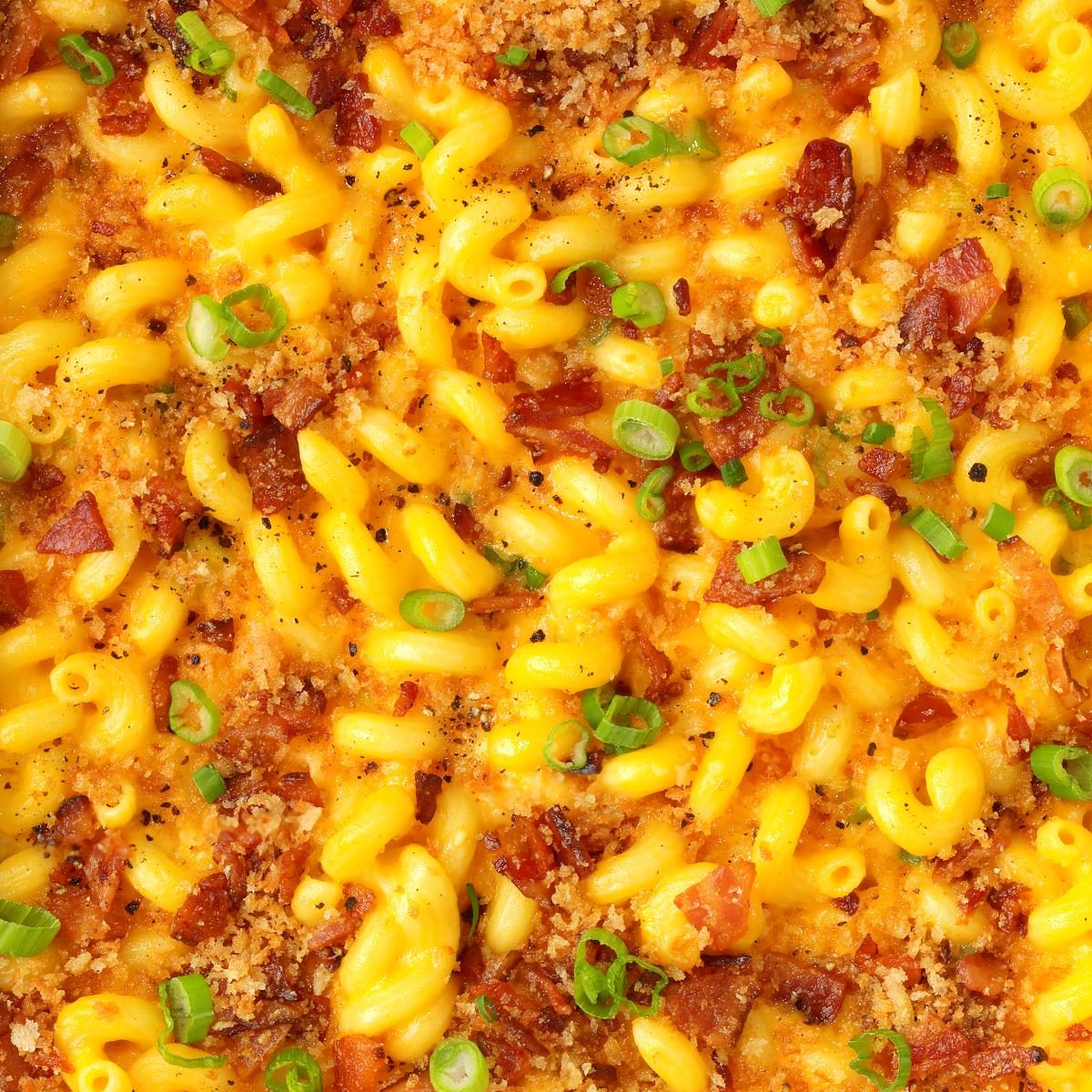 Creamy Cavatappi Cheese