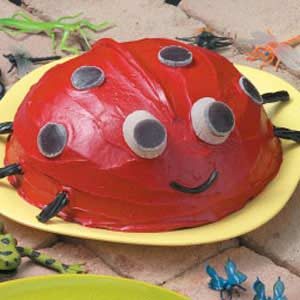 Ladybug Cake