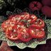 Tomato Vinaigrette