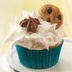 Chip Lover's Cupcakes