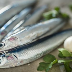 fresh anchovies