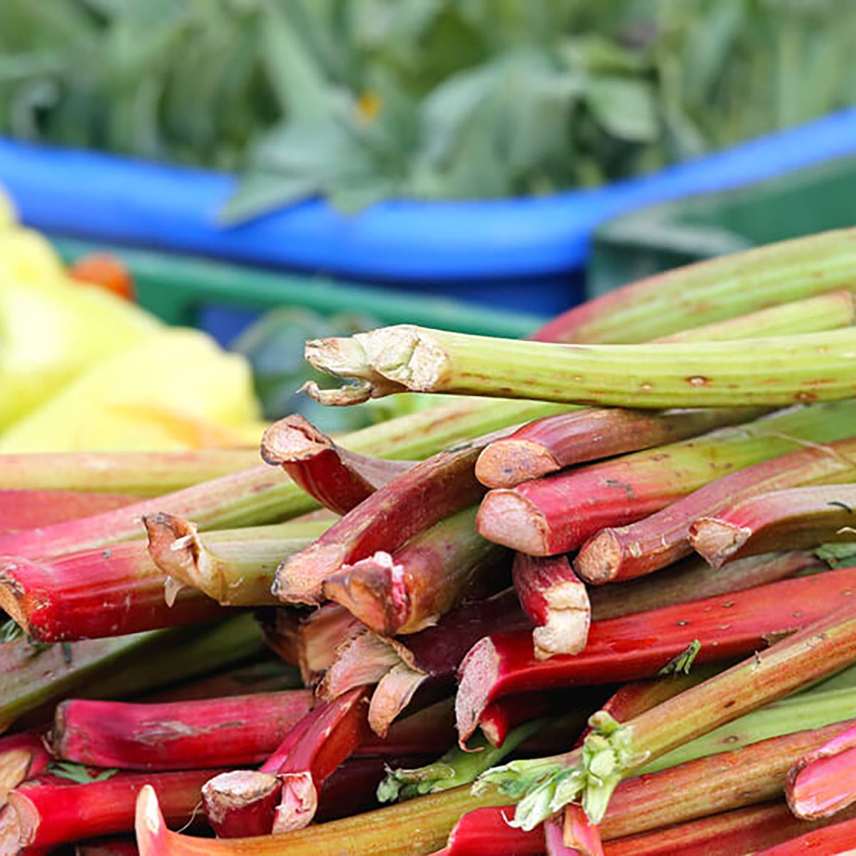 most sour foods