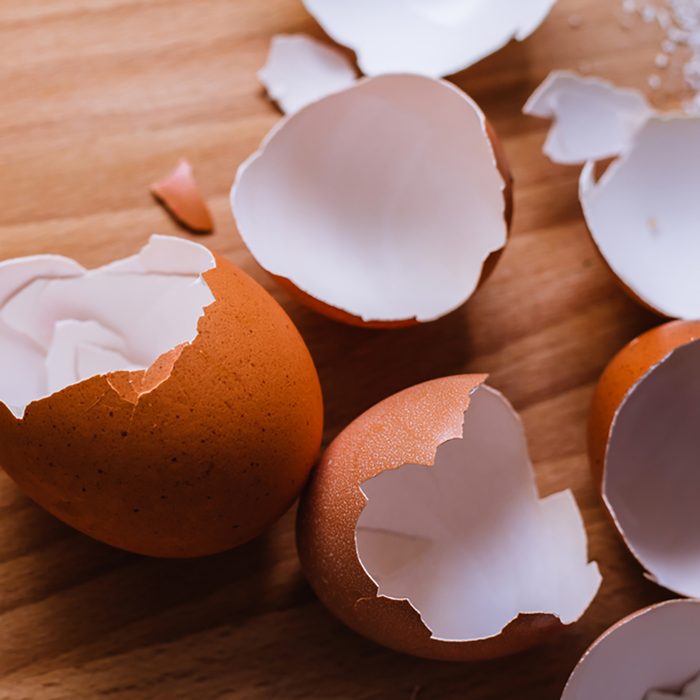 eggshell;