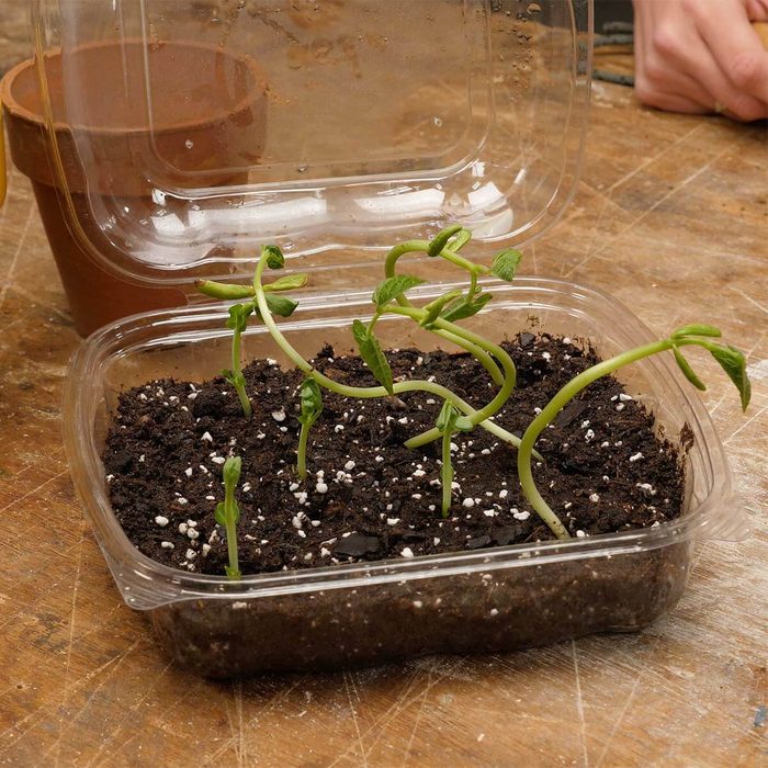 kitchen hacks