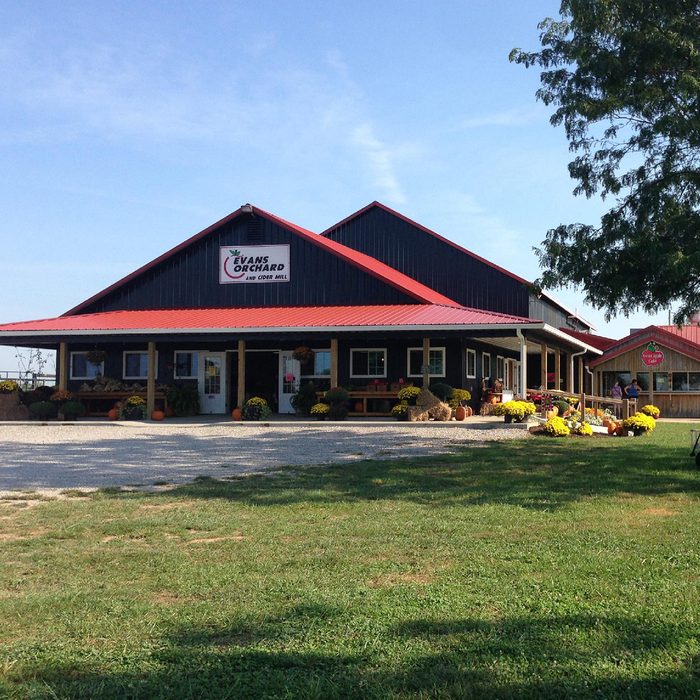 Evans Orchard