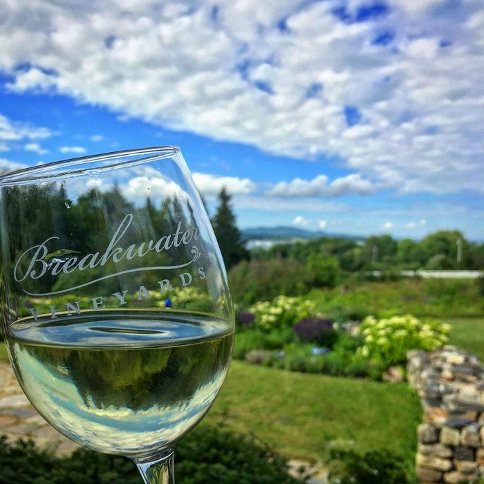 Breakwater Vineyard