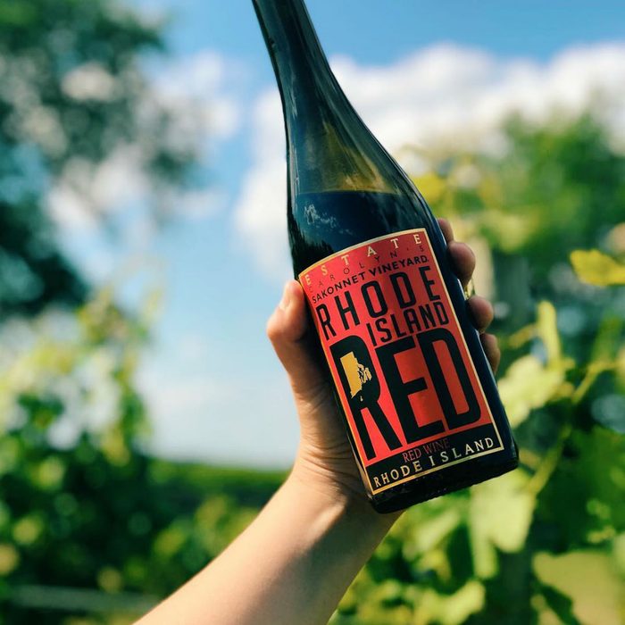 Carolyn's Sakonnet Vineyard