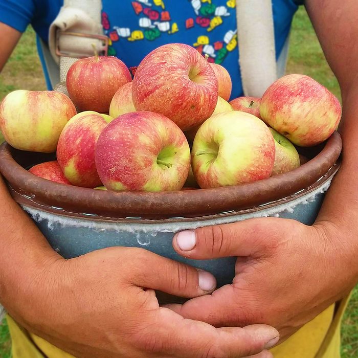 Wilson’s Orchard