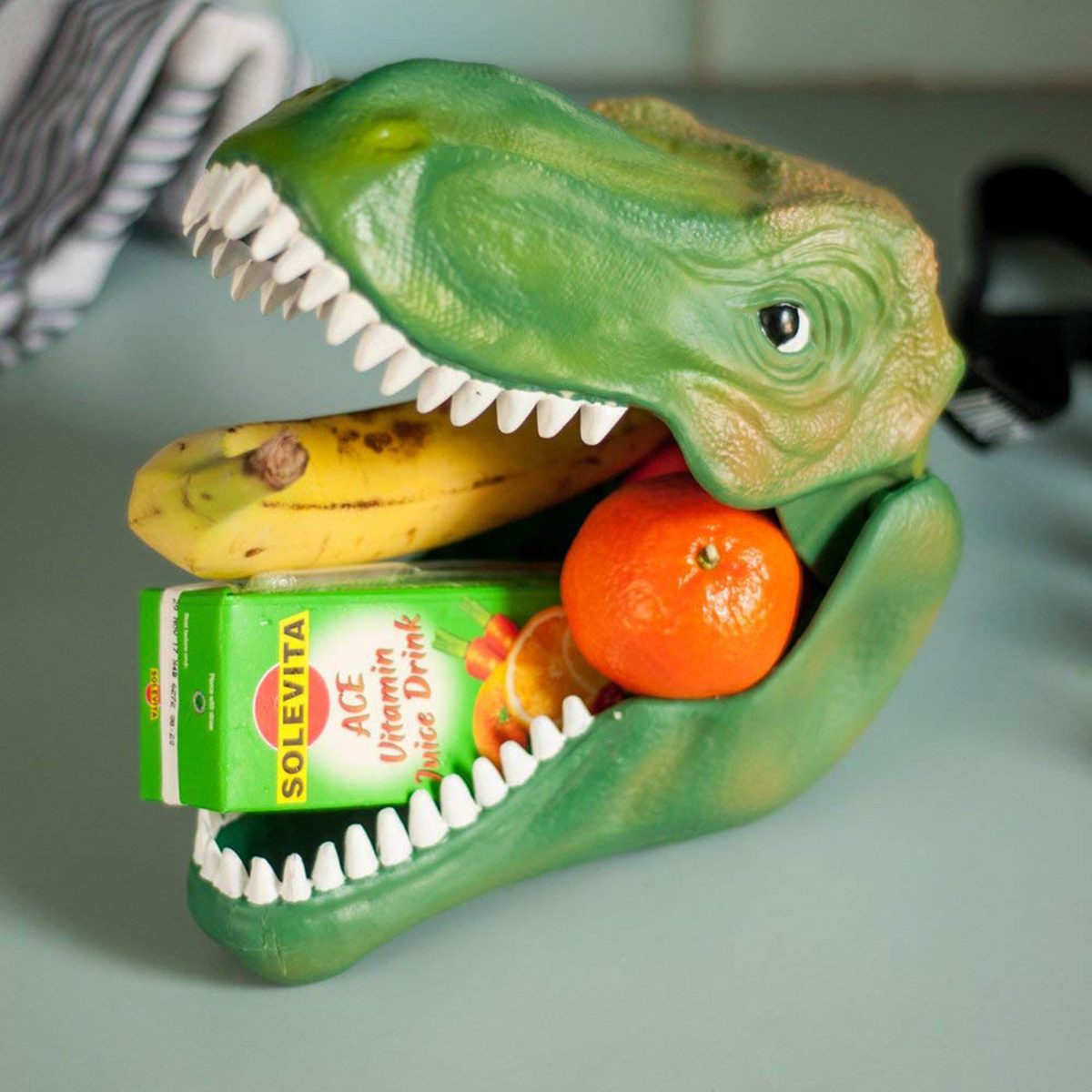Dinosaur case