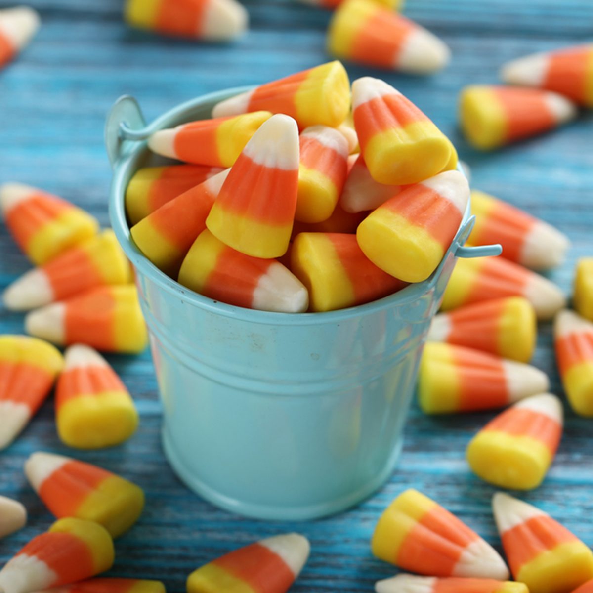 Halloween candy corns in bucket on blue wooden background