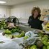 Here Is What Happens To All Your Confiscated Food At The Airport