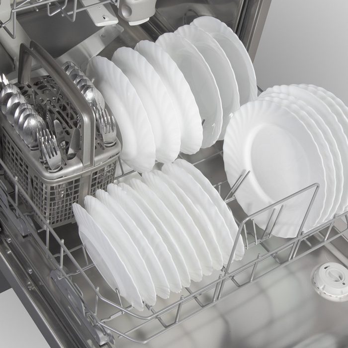 Dinner plates