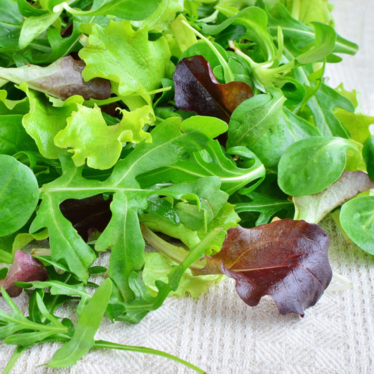 Fresh mixed greens leaf vegetables of arugula, mesclun, mache over kitchen towel