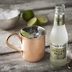 What Is Ginger Beer?