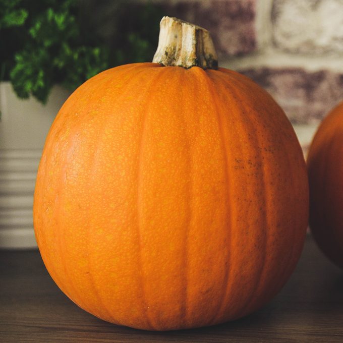 Pumpkins - food themes