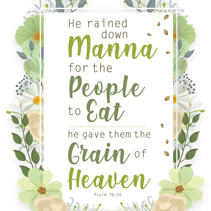 Psalm 78:24