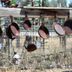 Here's What You Need to Know About Vintage Cast Iron