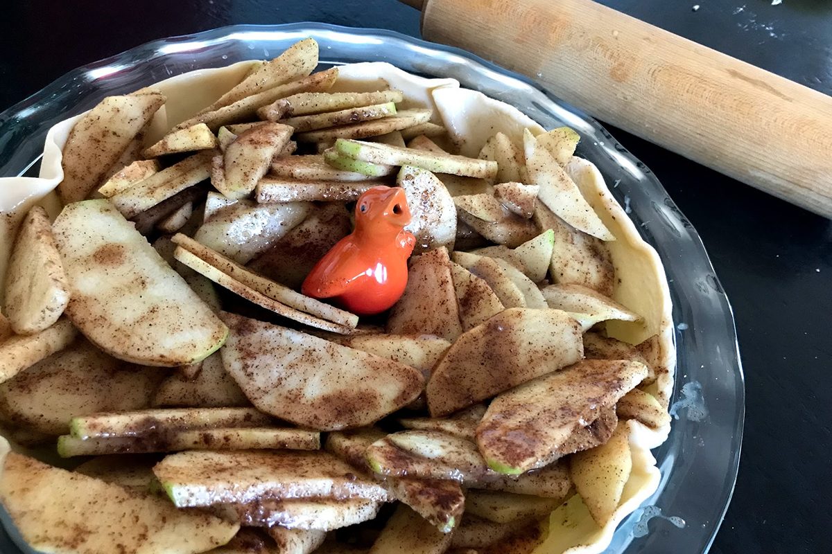 Pie bird