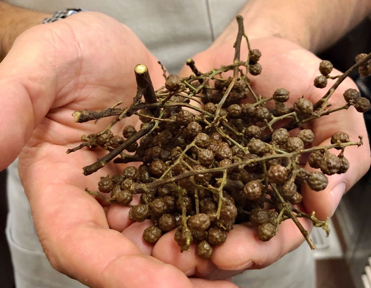 Let’s Talk About the Addictive Nature of Sichuan Peppercorns