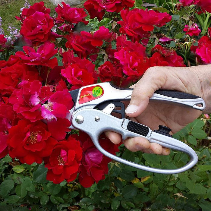garden tools
