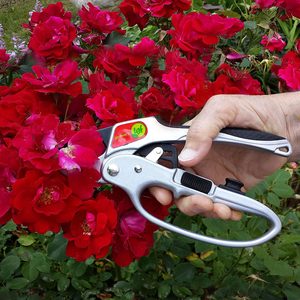 garden tools