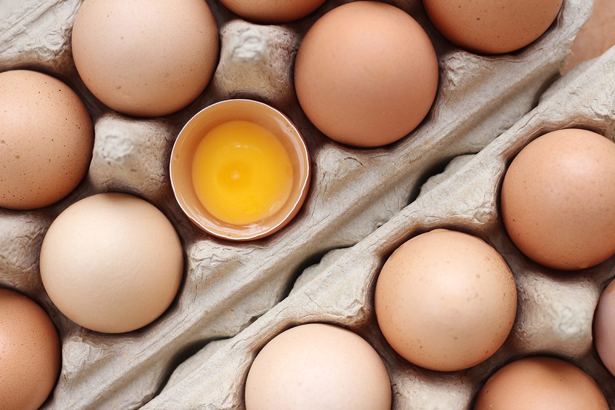 Can You Freeze Eggs? Yes, Here’s How