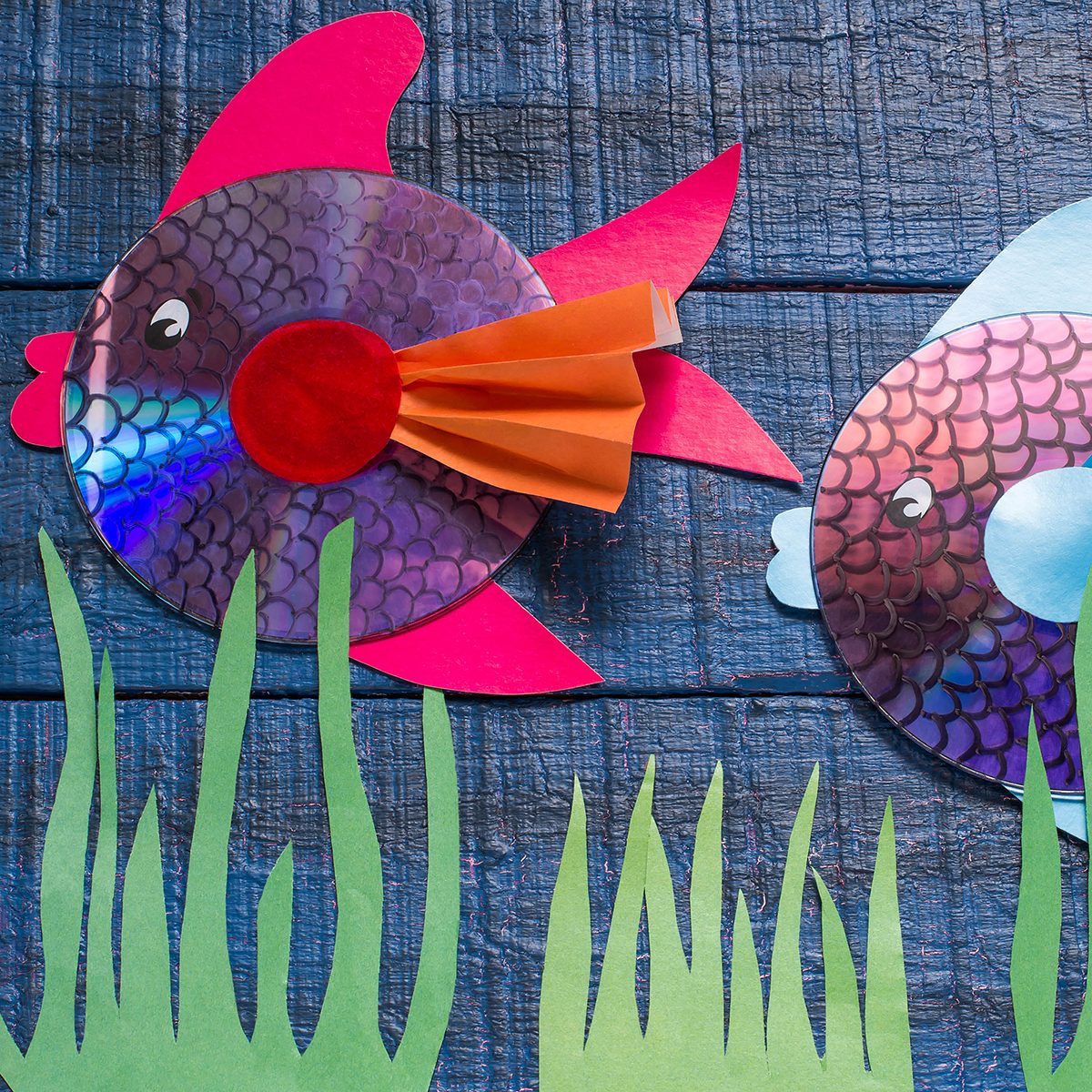 Making homemade toy fish from the CD. Handmade children's project.