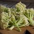 Caulilini: The New Veggie You've Got to Try!