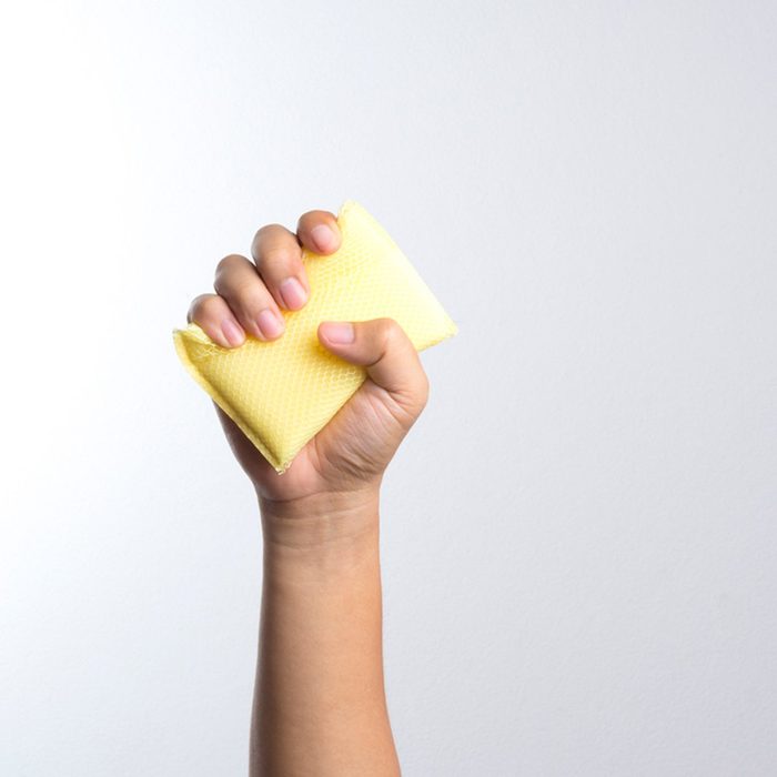 Sponge in hand held high