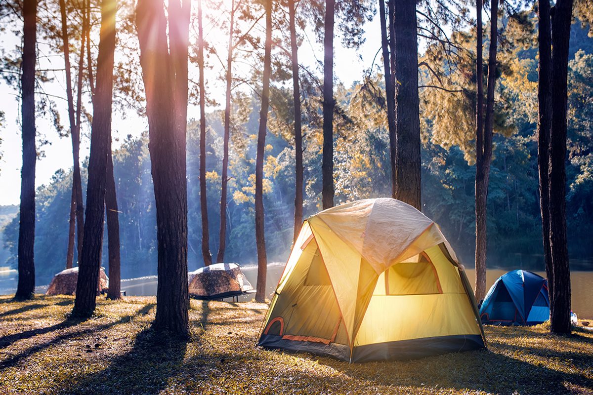 Camping and tent under the pine forest near the lake with beautiful sunlight in the morning