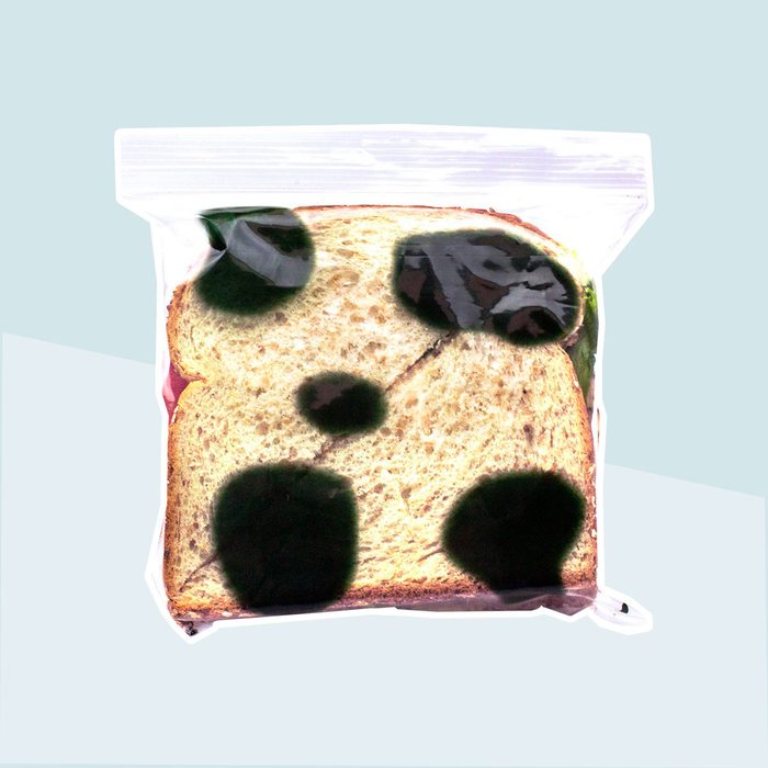 Moldy Bags