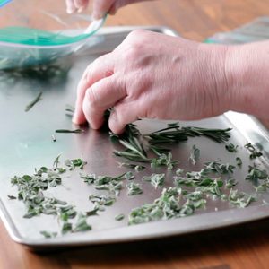 freezing herbs