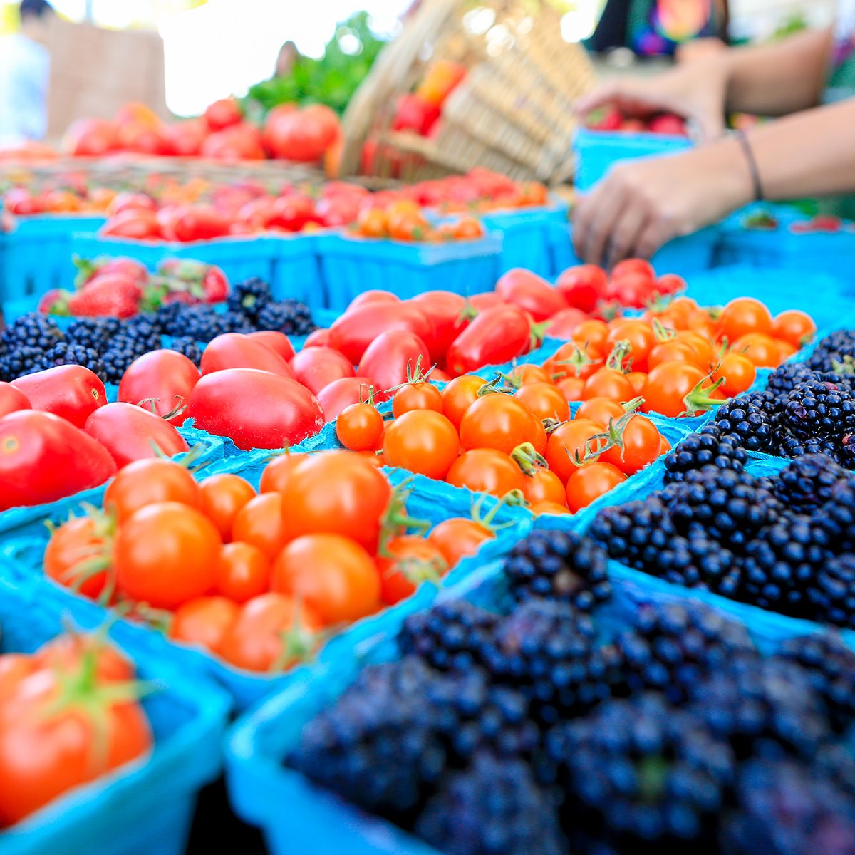 Pint baskets of Organic red tomatoes and blackberries on the counter at a Farmer's Market
