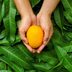 9 Outstanding Benefits of Mango That You Should Know