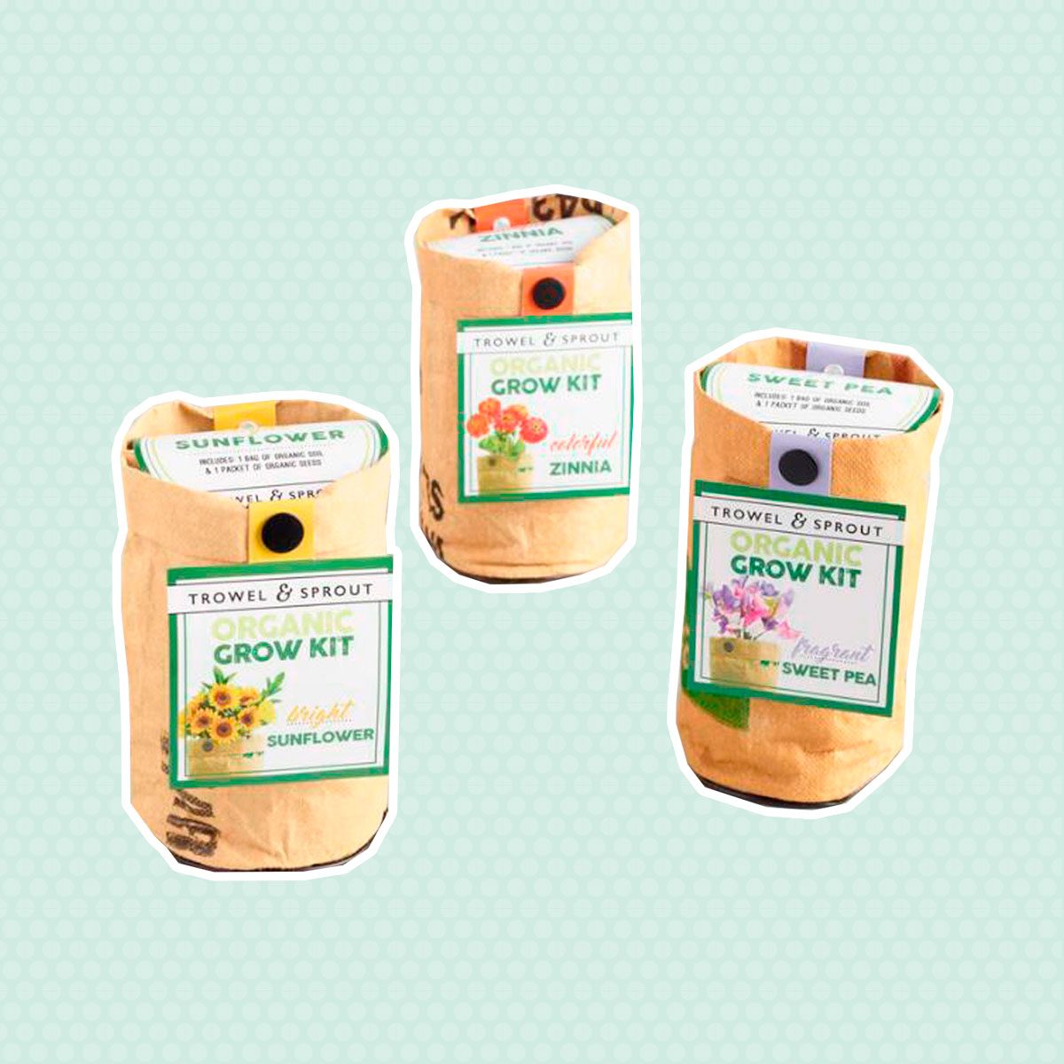 Flower growing kits