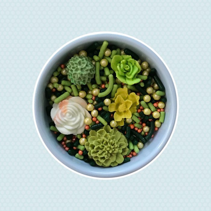 Fondant Succulents