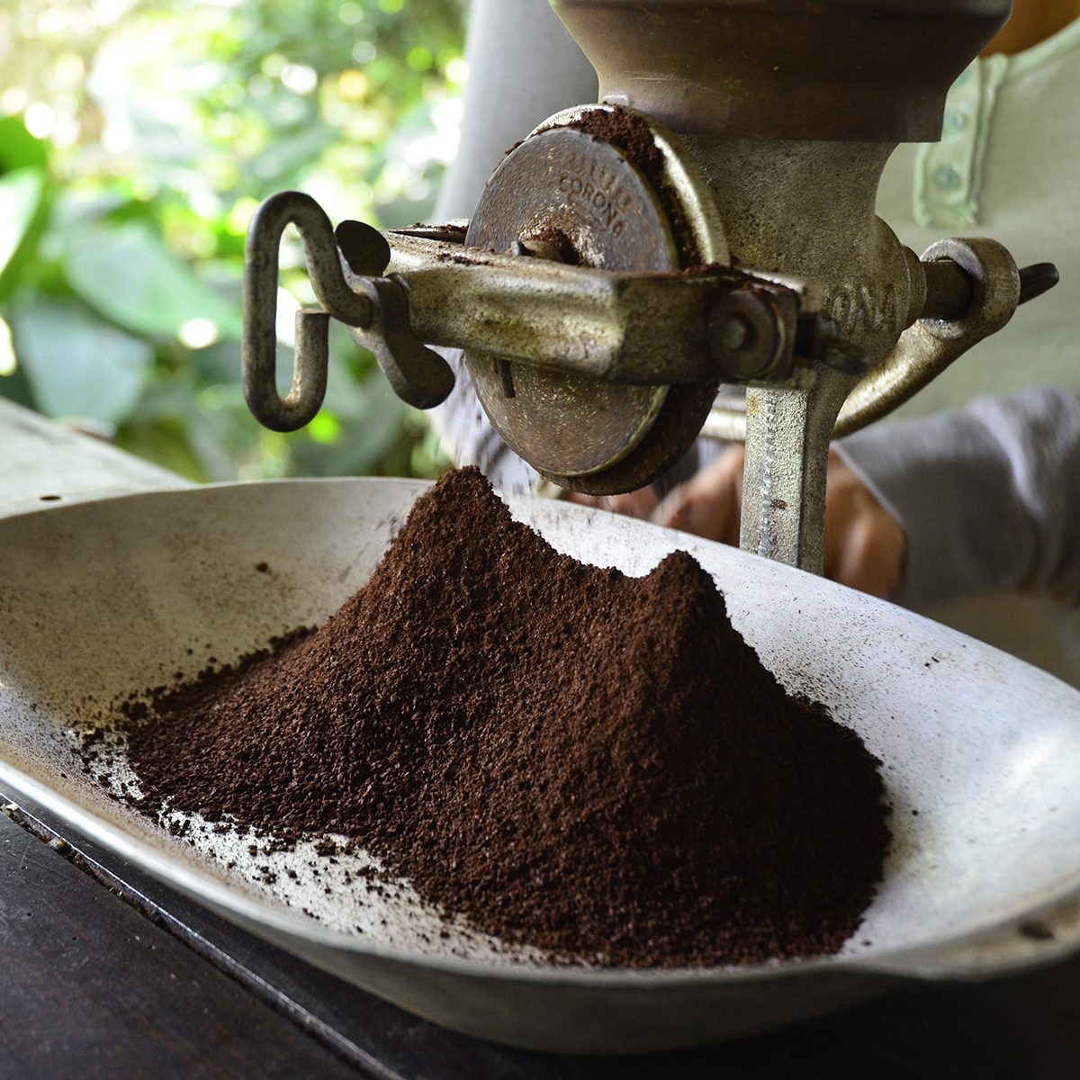 Freshly Roasted Coffee being Ground - February 2017 - Salento, Colombia