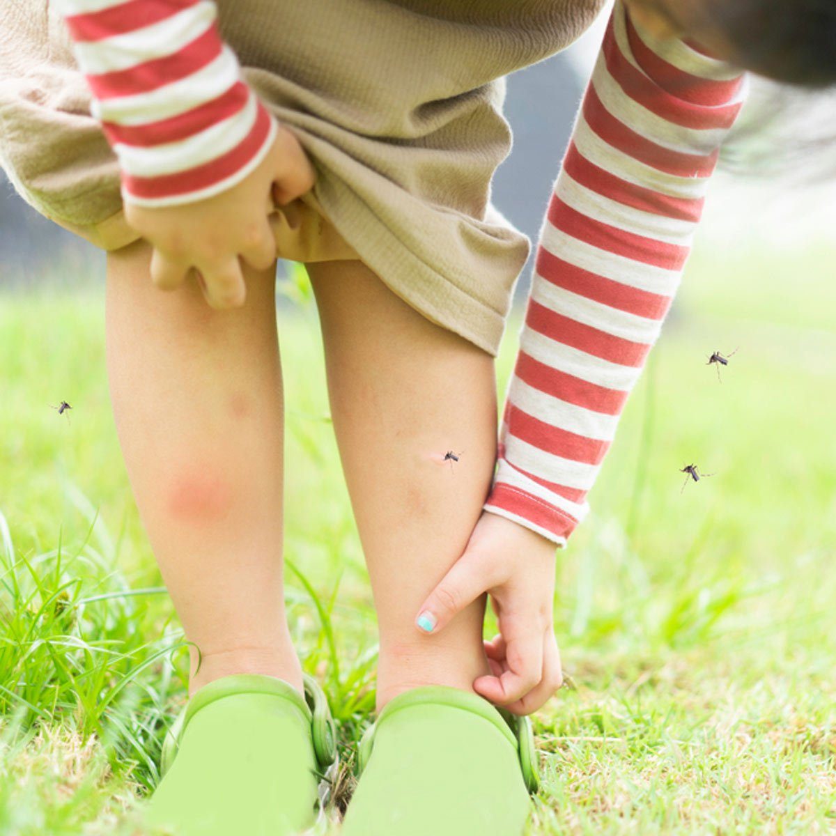 Here’s Why Some People Get Bit More by Mosquitos Than Others