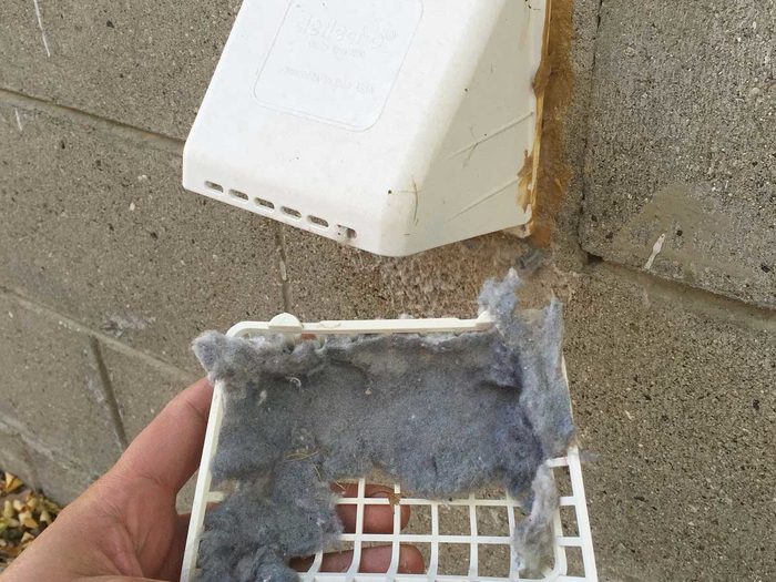 dirty dryer vent