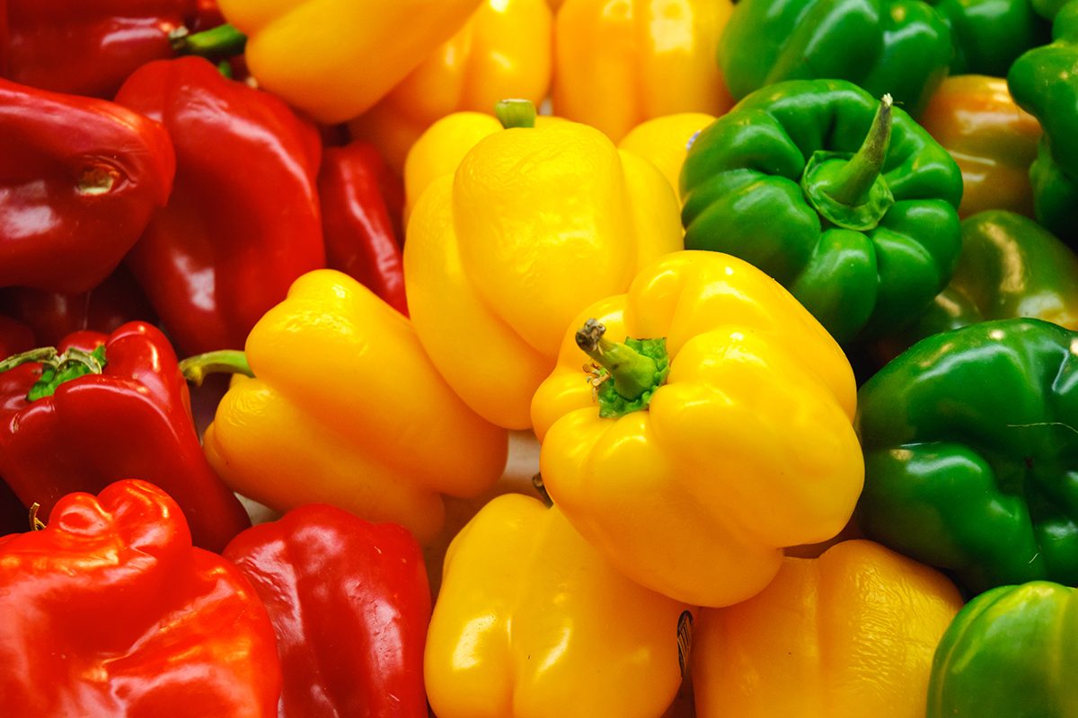 Red, yellow and green Bell Peppers are seen stacked side by side in a farmers market display.