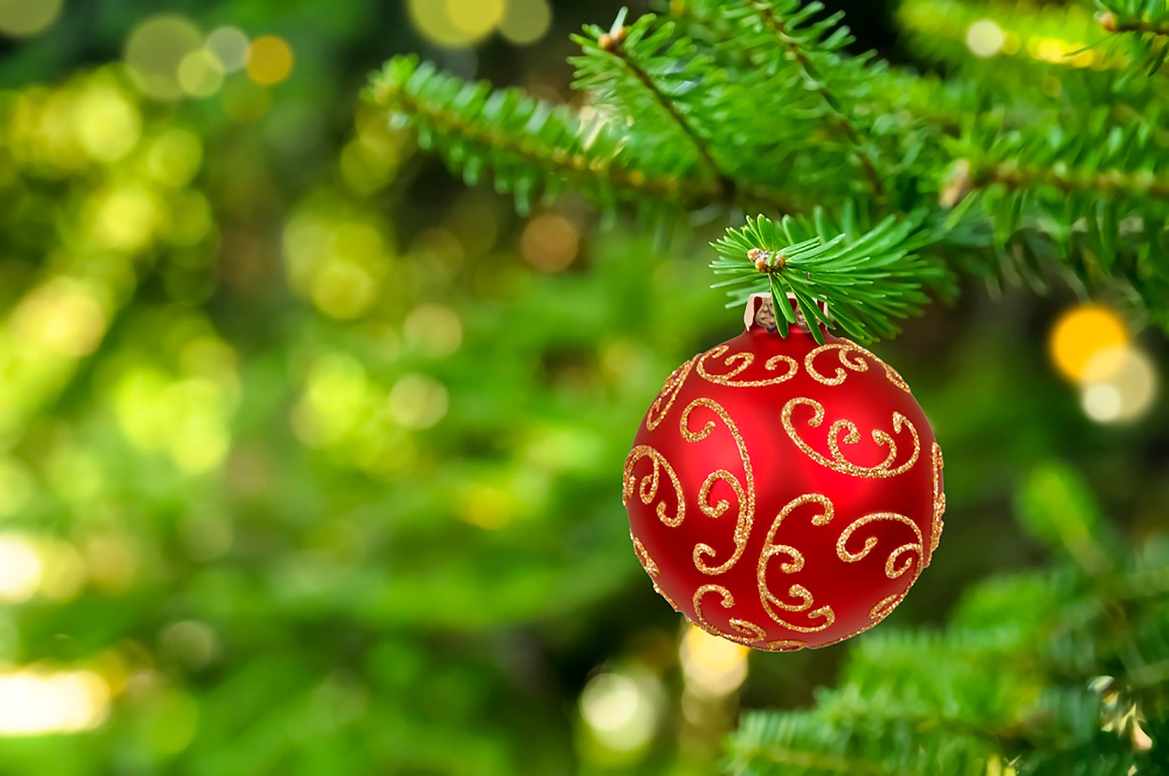 The Real Reason Why Christmas Colors Are Green and Red
