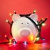 10 Things You Should Know About LED Christmas Lights