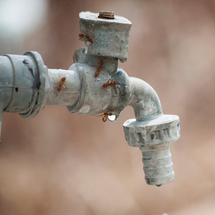 faucet