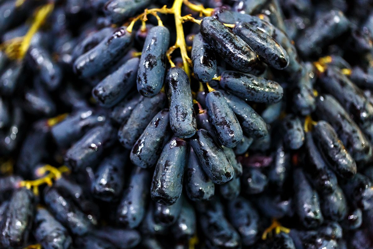 Moon Drop Grapes Are Back in Stores—Here’s What You Need to Know