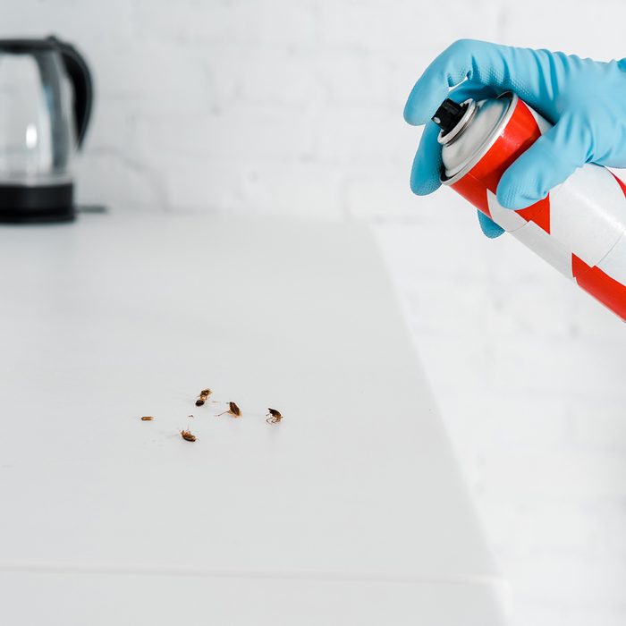 Spraying ants